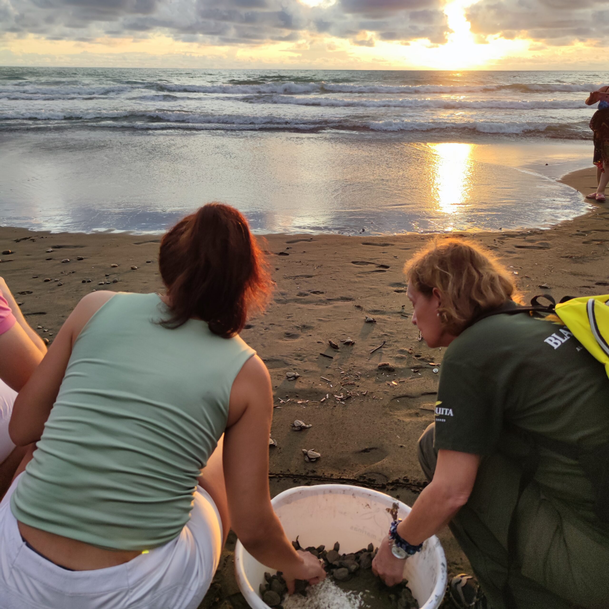Local conservation guide explaining sea turtle protection