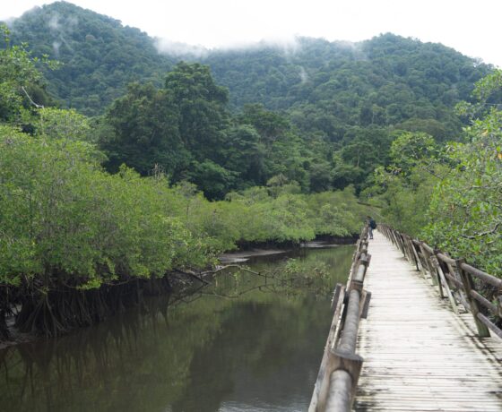 PAISAJE-UTRÍA-scaled
