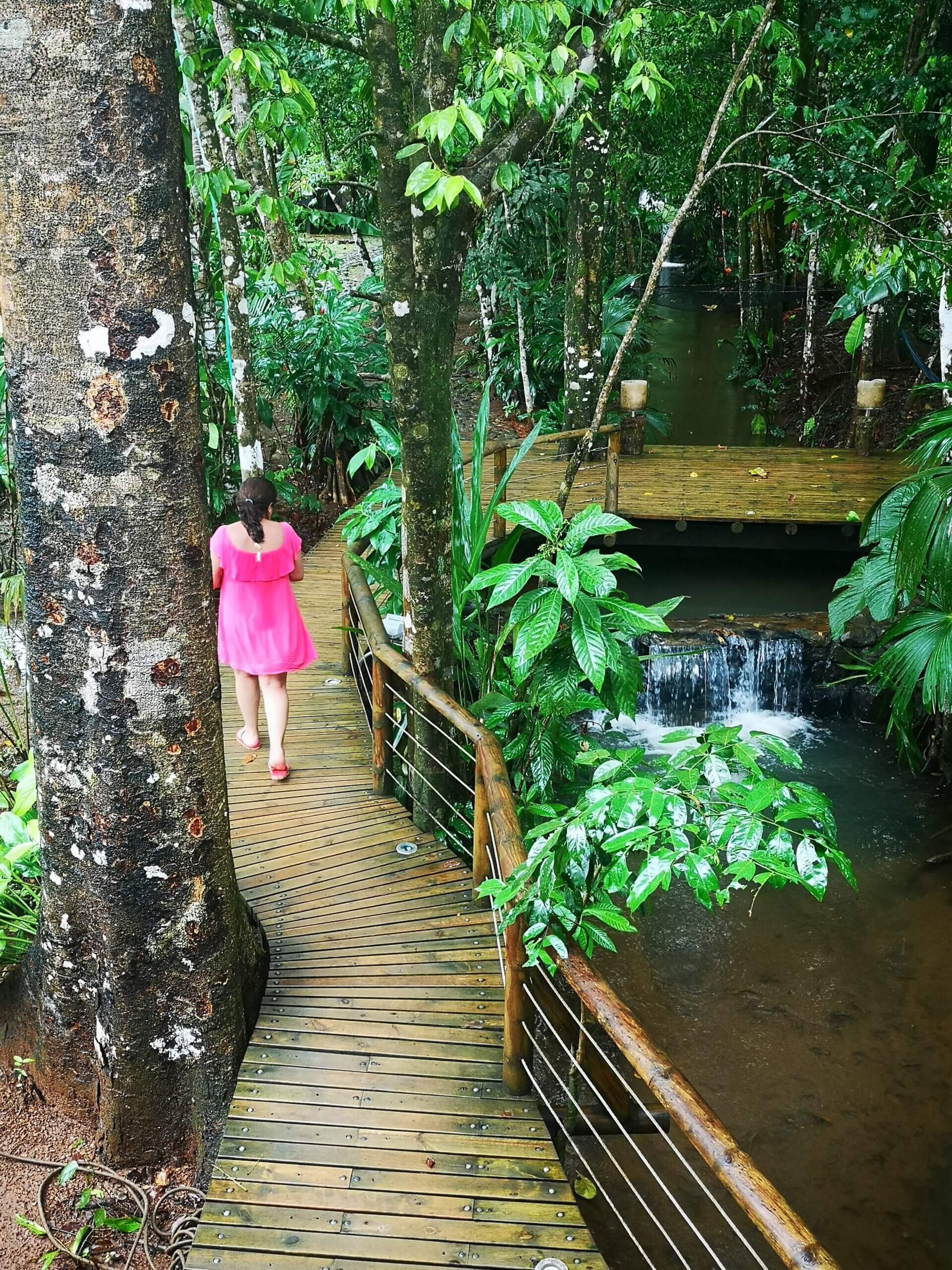 Nature trail near Ecolodge El Almejal